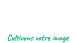 Terreacom