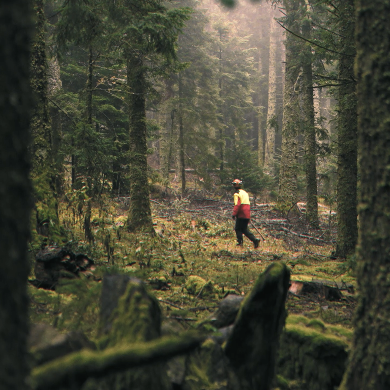 la foret, rooj by ga